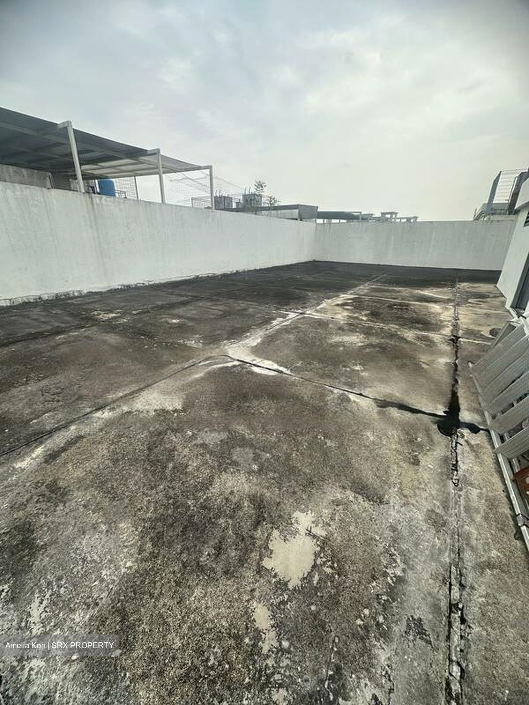 The Splendour (D23), Factory #468114081